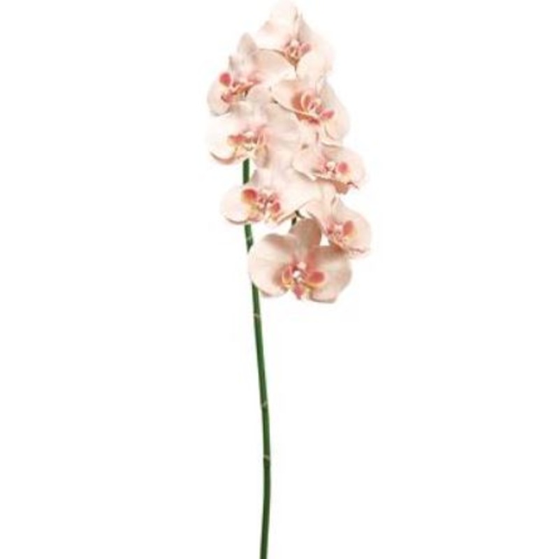HSO007-PE/LT (30461) – Phal. Orchid 40 Spray Light Peach