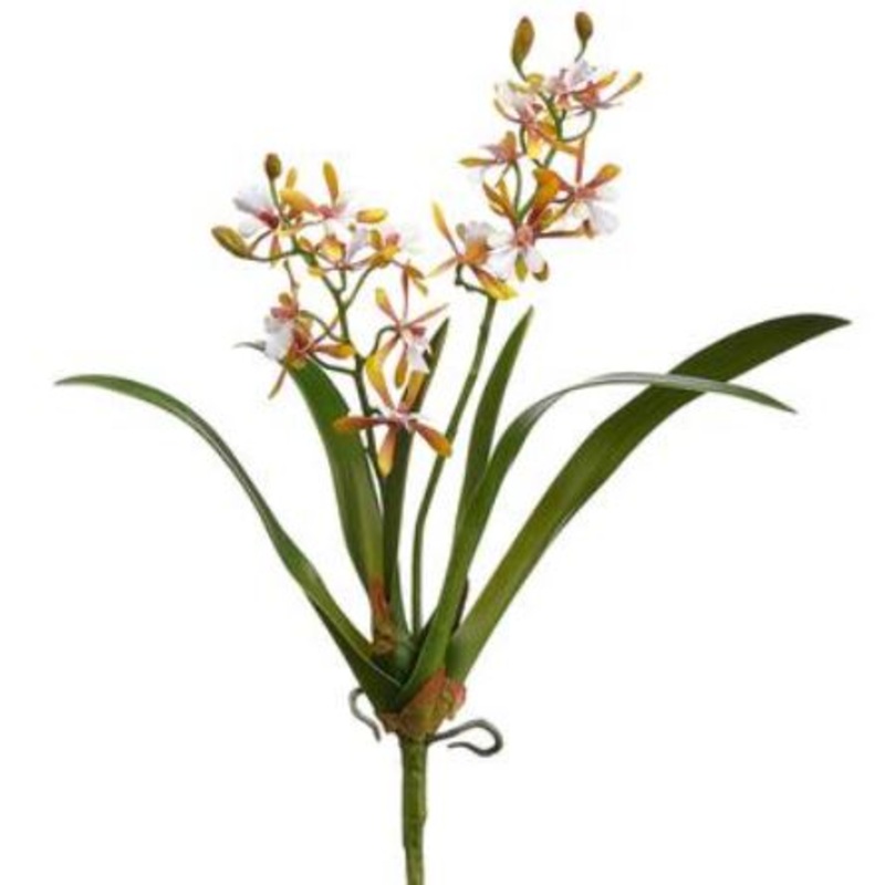 HSO926-YE/PK (29142) – Mini Cattleya Orchid Yellow/Pink 16