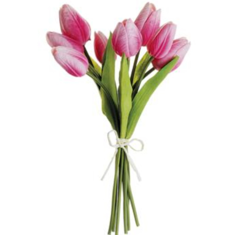 HST007-BT/LT (28149) – Tulip X8 Bt/Lt 10