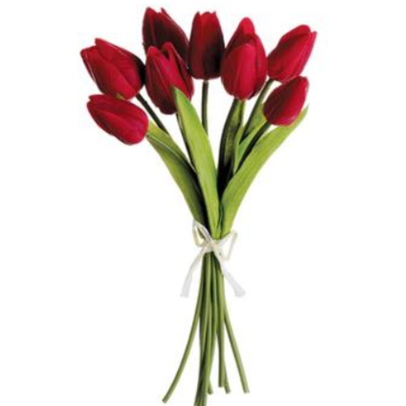 HST007-RE (28150) – Tulip X8 Red 10