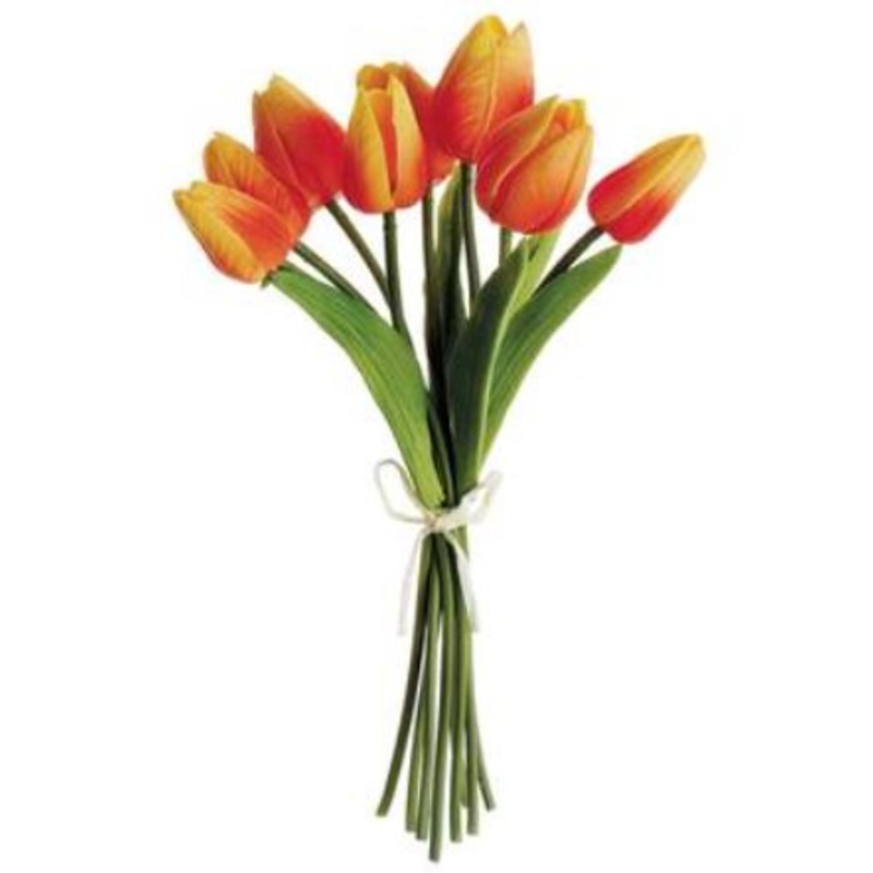 HST007-TA (29175) – Tulip X8 Ta 10