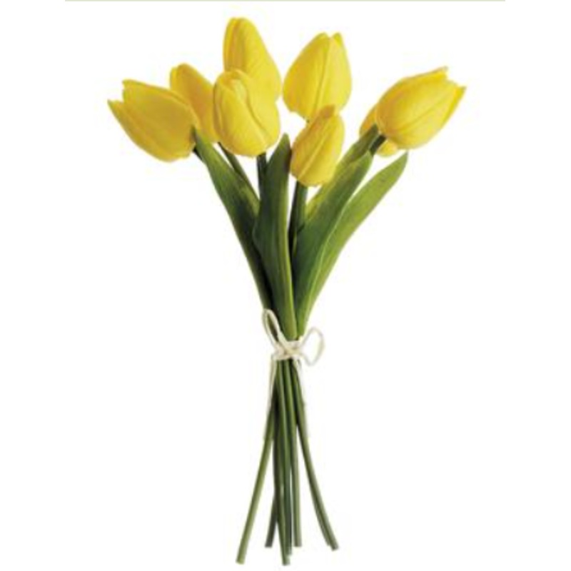 HST007-YE (26152) – Tulip X8 Yellow 10