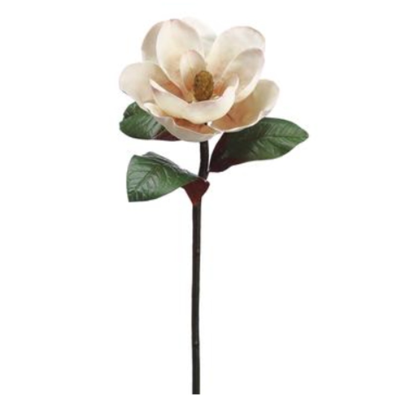 JTM050-BE (30276) – Magnolia Spray Beige 34