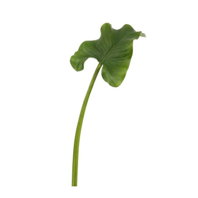 95630.GR (30506) – Calla Leaf 35.5 Green
