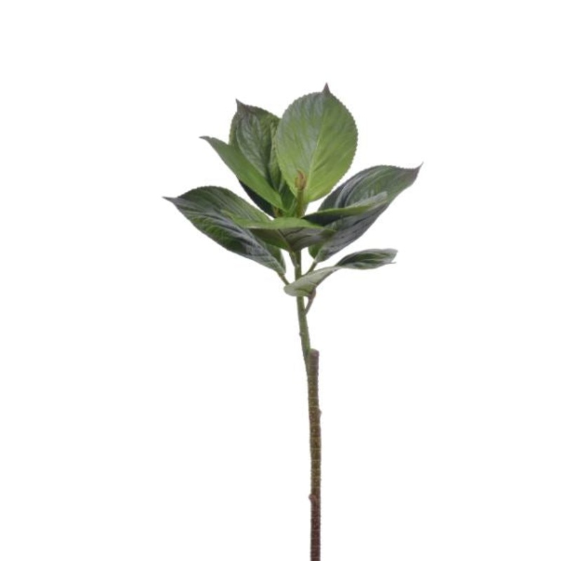 98092.GR (30508) – Hydrangea Leaf 25