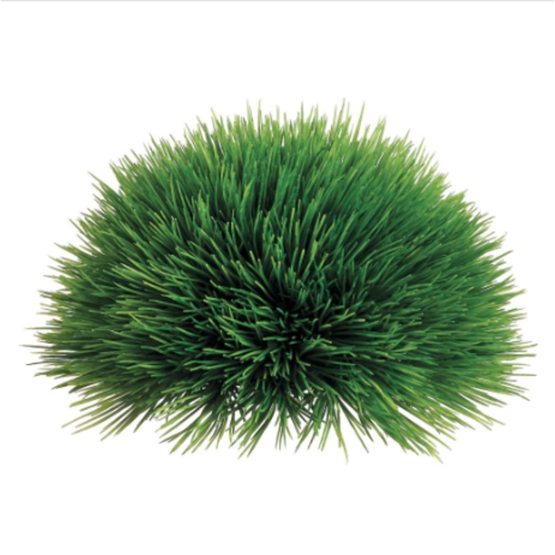 AAG141-GR (31479) – Pine Grass Half Dome Gr 4X7