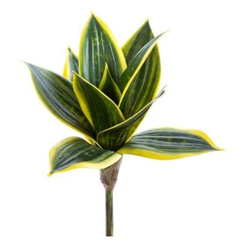 CA0309-GR/CR (32274) – Mini Sanseveria Plant Green/Cream 9