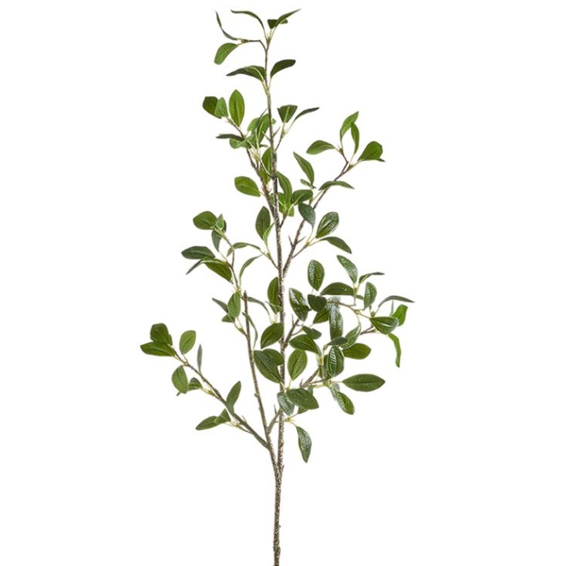 F4302062 (30688) – Magnolia Leaf Spray 29