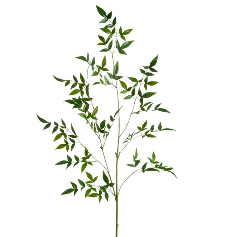 F4322632 (30670) – Green Leaf Branch 53