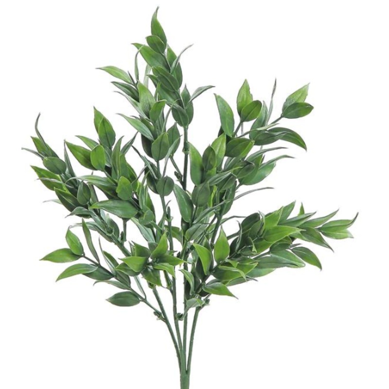 FL5240-G (27161) – Tea Leaf Bush 12.5 Uv/Fr Gr
