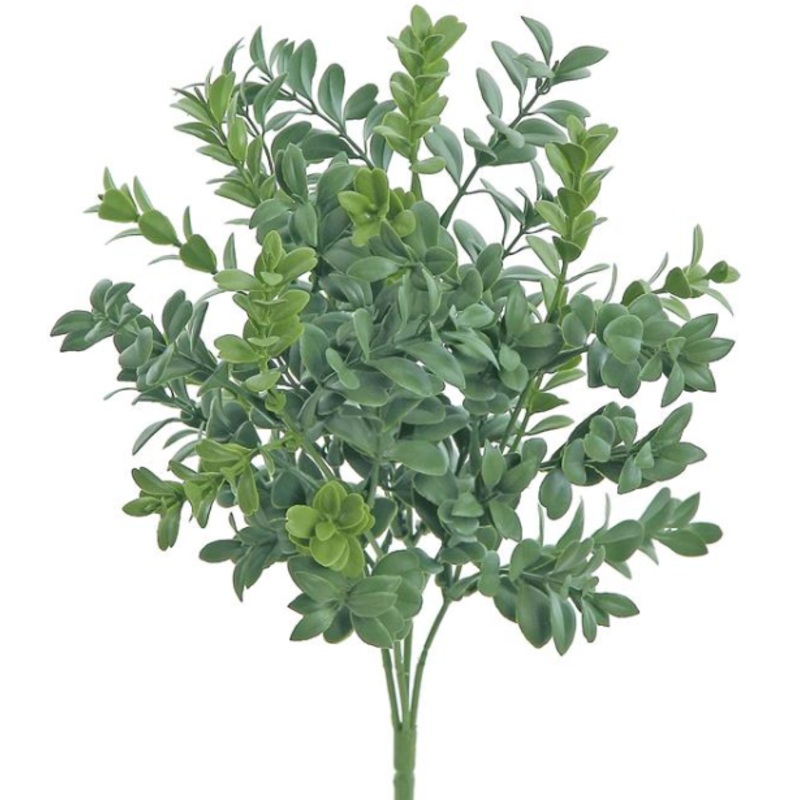 FL5249-G (27162) – Boxwood Bush 11.75 Uv/Fr Gr