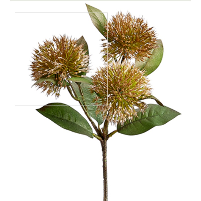 FSA663-GR (28391) – Chi. Sweet Gum Bloss Sp 15 Gr