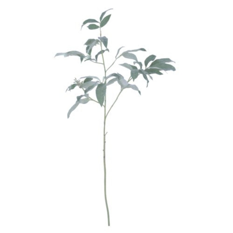 GF18702N.GE (24186) – Lichee Foliage Stem 38”