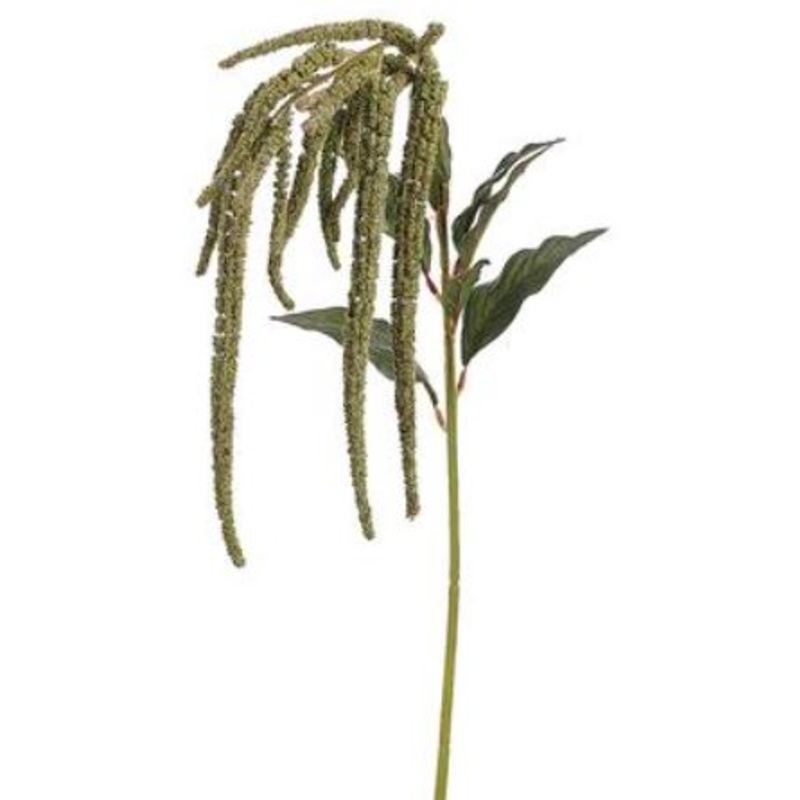 GSA587-GR (30473) – Amaranthus 44 Spray Gr
