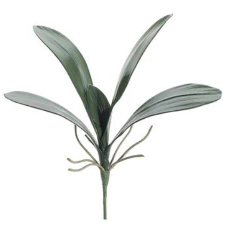 JYL915-GR (11487) – Phalaenopsis Leaf Spray 14 Green