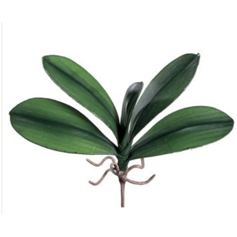 JYL953- (3030) – Phalenopsis Leaf Small Green