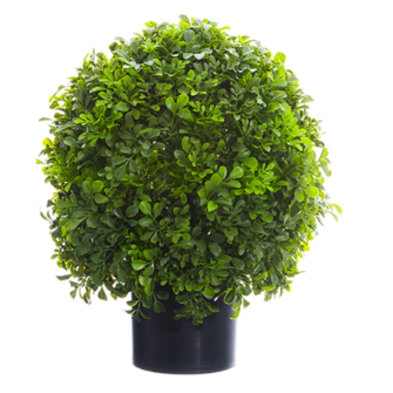LPB323-GR (27149) – Boxwood Ball Topiary 16 Gr