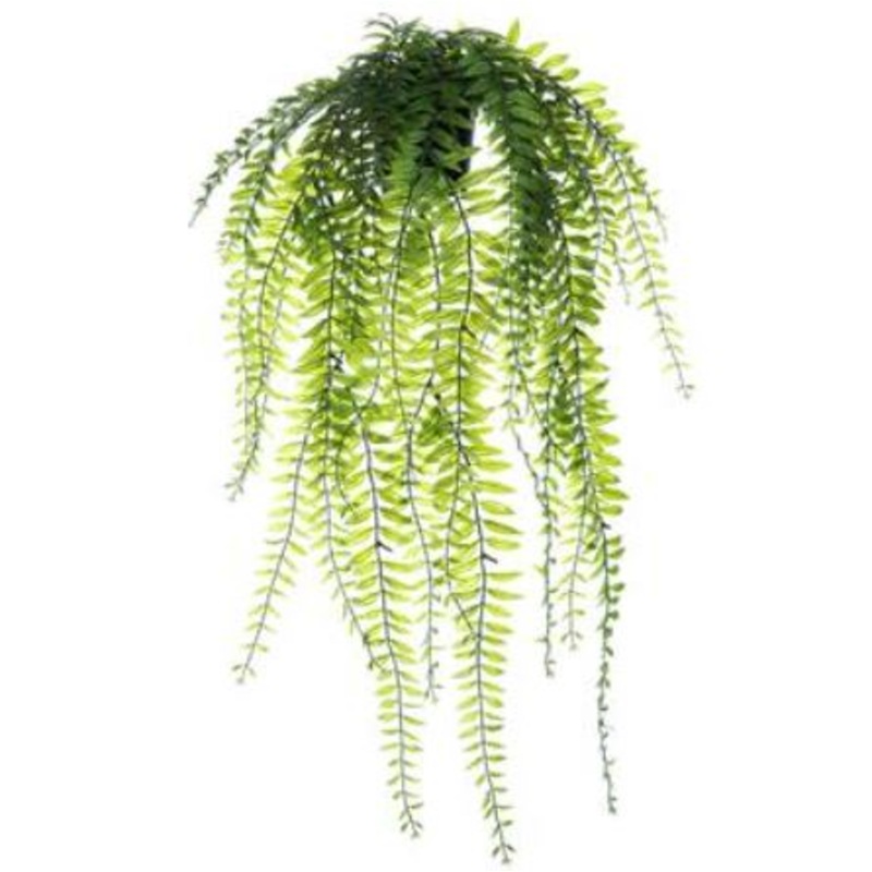 LQF572-GR (29141) – 25 Hanging Sword Fern In
