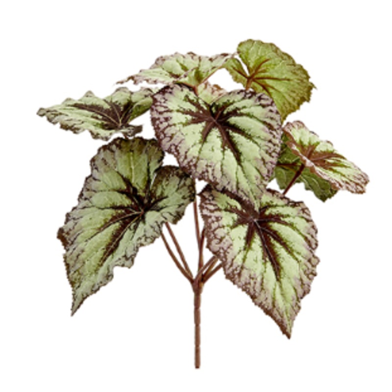 PBB431-GR/PU (25810) – Begonia Leaf Bush X7 Gr/Pu