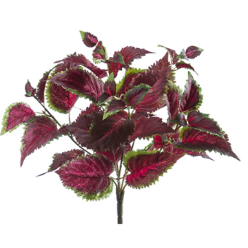 PBC531-BU/GR (27129) – Uvpro Coleus Bush 16 Bu/Gr