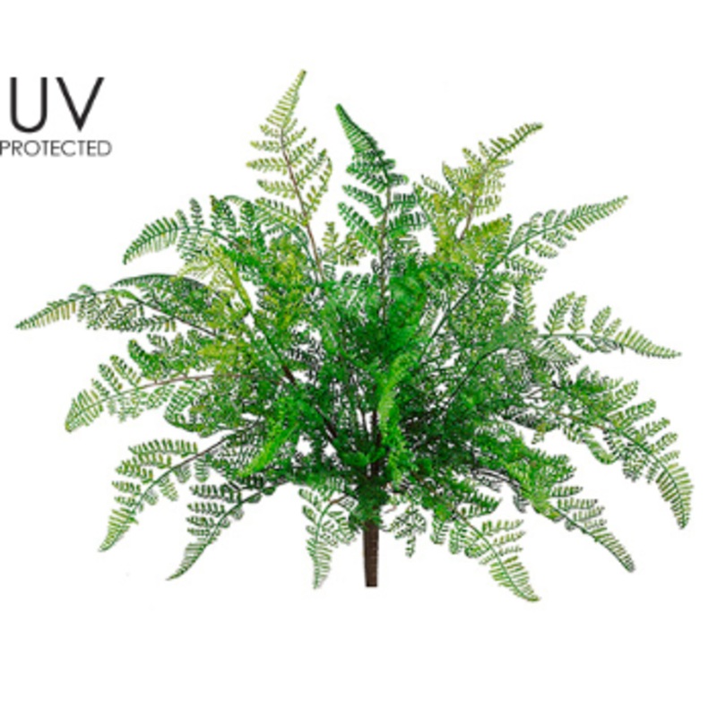 PBF413-GR (27136) – Uv Leather Fern Bush 17 Gr