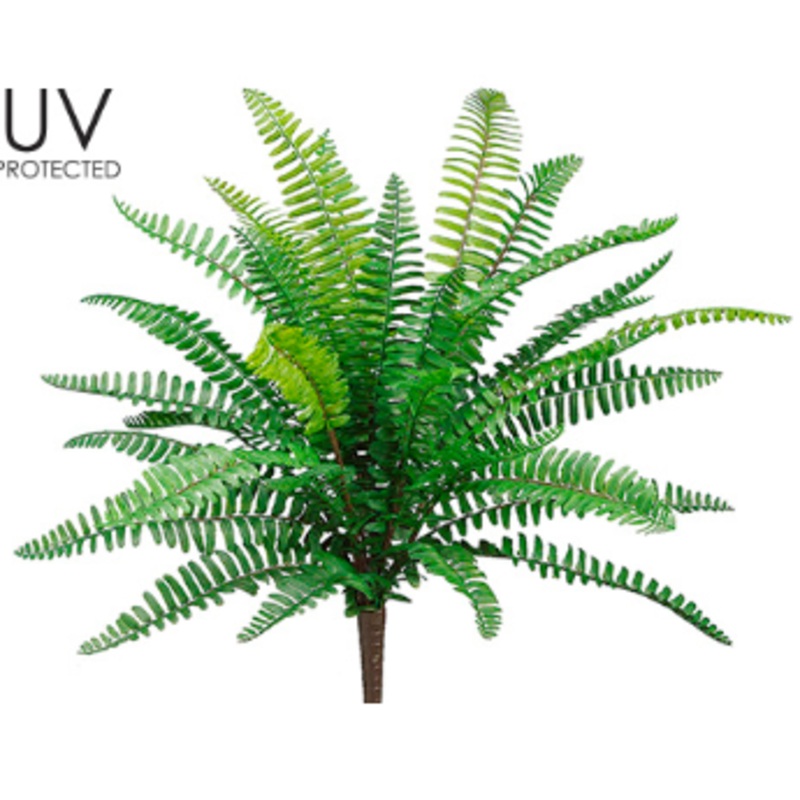 PBF426-GR (27139) – Uv Boston Fern Bush 19 Gr