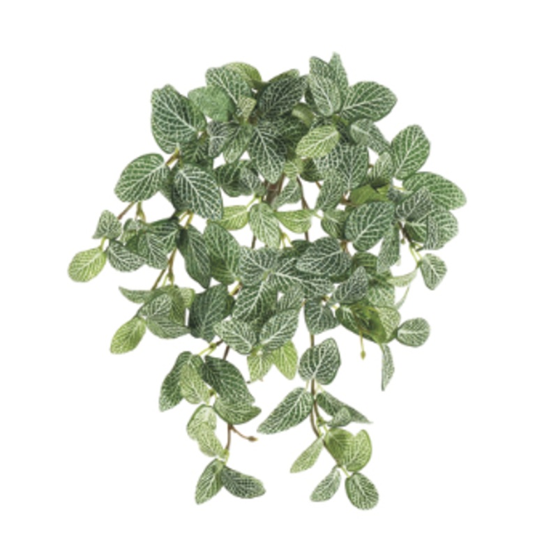 PBH662-GR/WH (15217) – Hanging Mini Fitt Bush 13 Green/White
