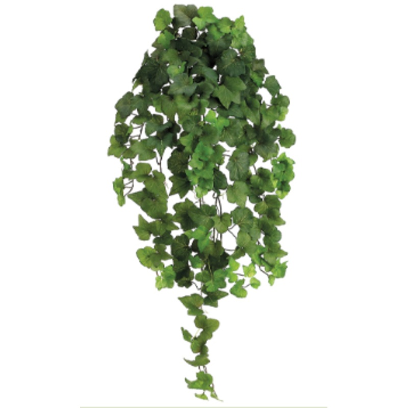 PBI232-GR (23447) – Nat Hedera Ivy Bu/Vi X10 Gr 31