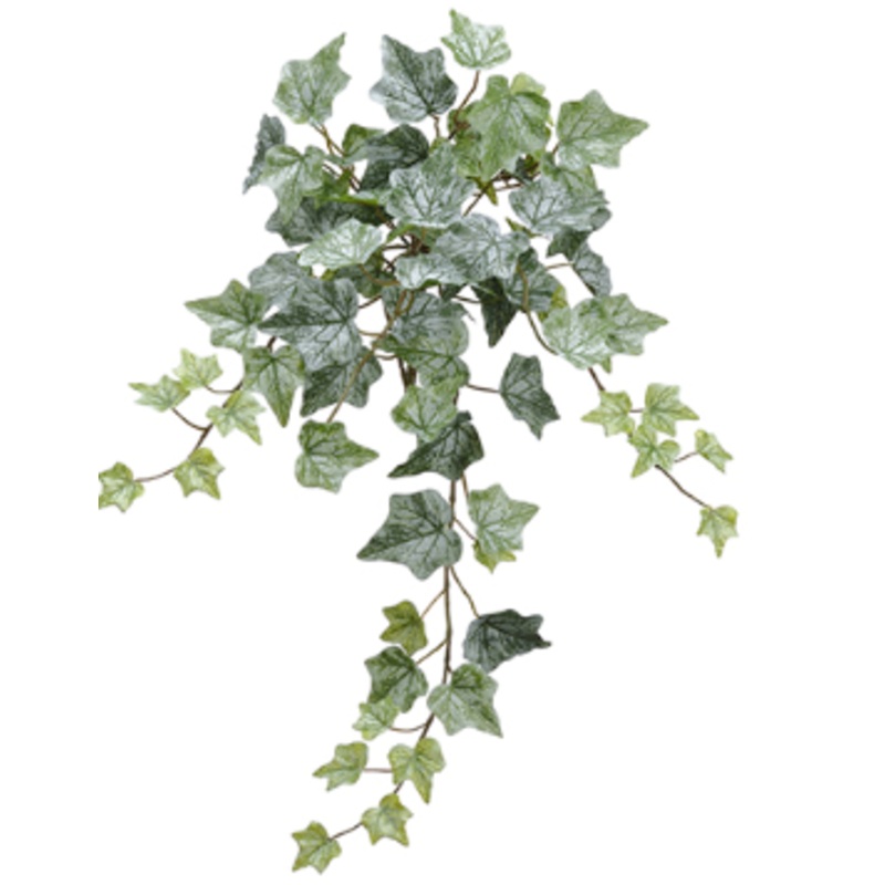 PBI270-GR/FS (25867) – One Ivy Bush Green Frost 78L 22