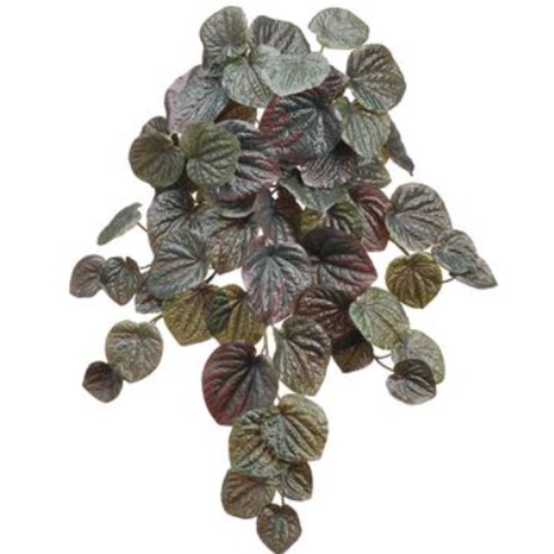 PBP119-GR/DK (28005) – Pepperomia Bush 19