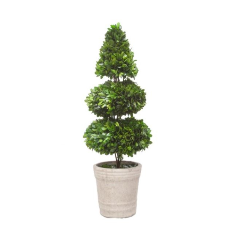 PG3153.GR (25308) – Rodeo Boxwood Topiary 28