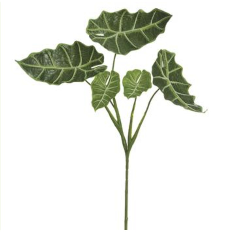 PSA431-GR (25811) – Alocasia Leaf Spray Gr 32