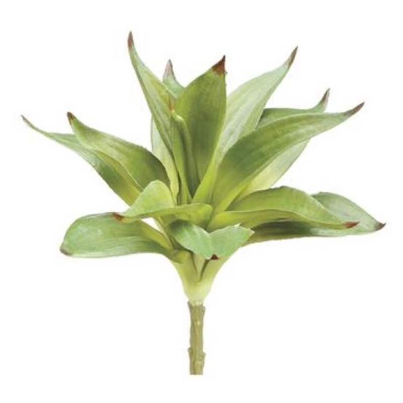 PSD310-GR (32295) – Dracaena Spray Green 10