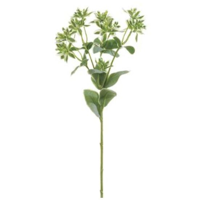 PSE004-VG (25841) – Euphoriba Spray 18.5 Vg