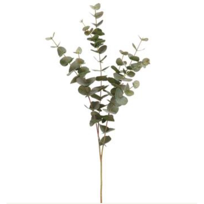 PSE039-GR/GY (28387) – Eucalyptus Spray 40 Gr/Gy