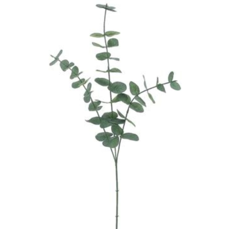 PSE331-GR/GY (24136) – Eucalyptus Spray 31 Gr/Gy