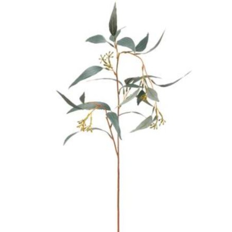 PSE903-GR (30420) – Eucalyptus Spray 23 X2 Gr