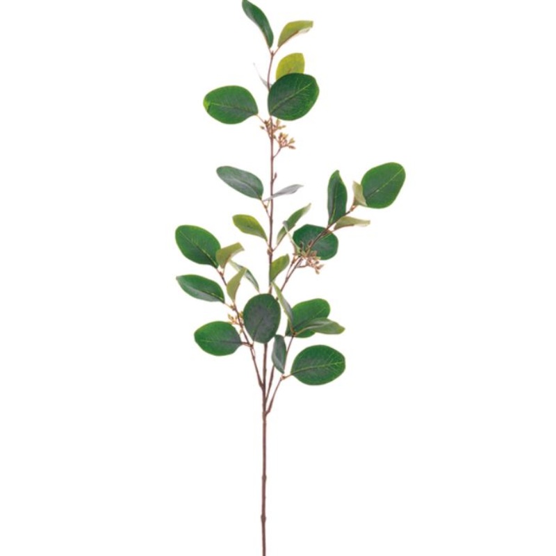 PSE960-GR/GY (30419) – Eucalyptus Spray 30 Gr\Gy