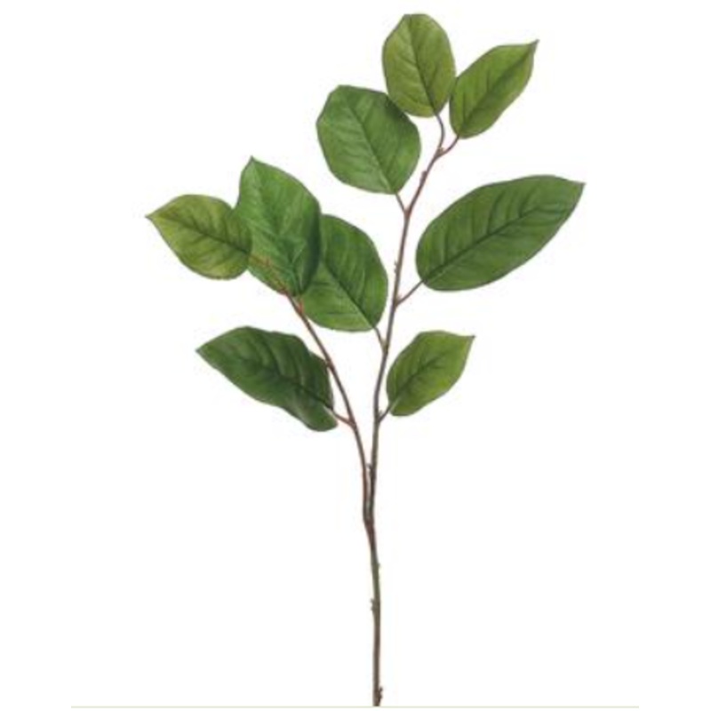 PSS368-GR/TT (24063) – Salal Leaf 30