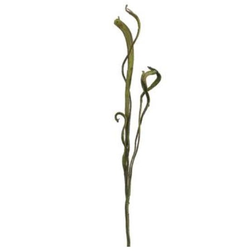 QSS850-GR (22698) – Staghorn Spray X2 Green 34