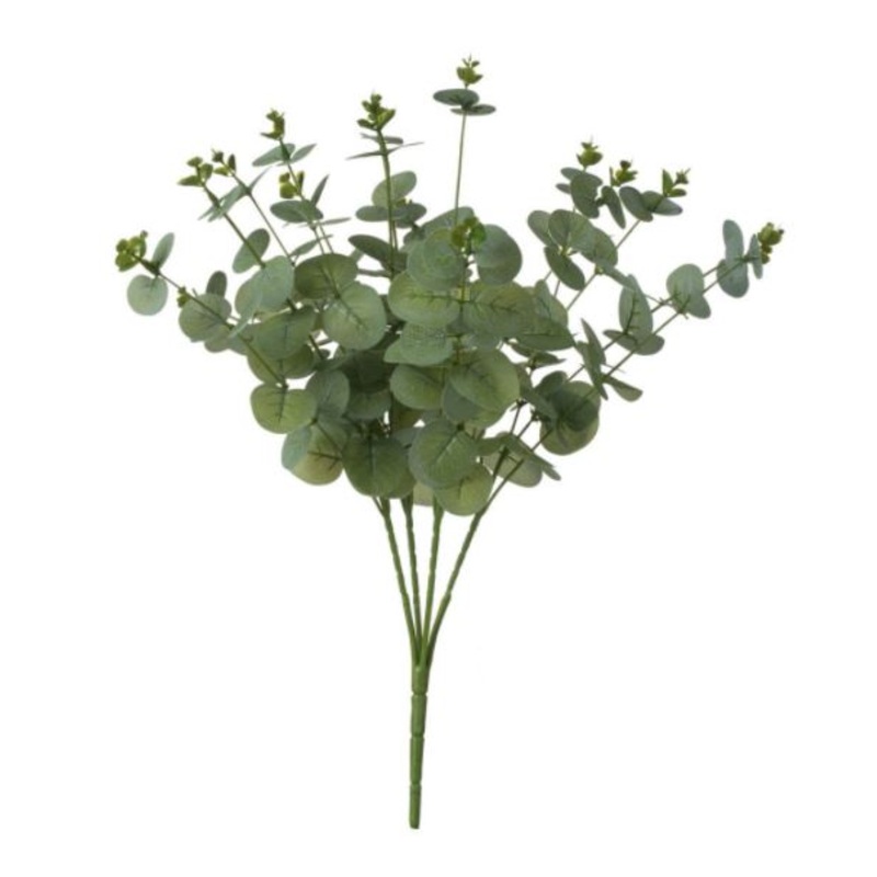 SA33184 (29069) – Eucalyptus