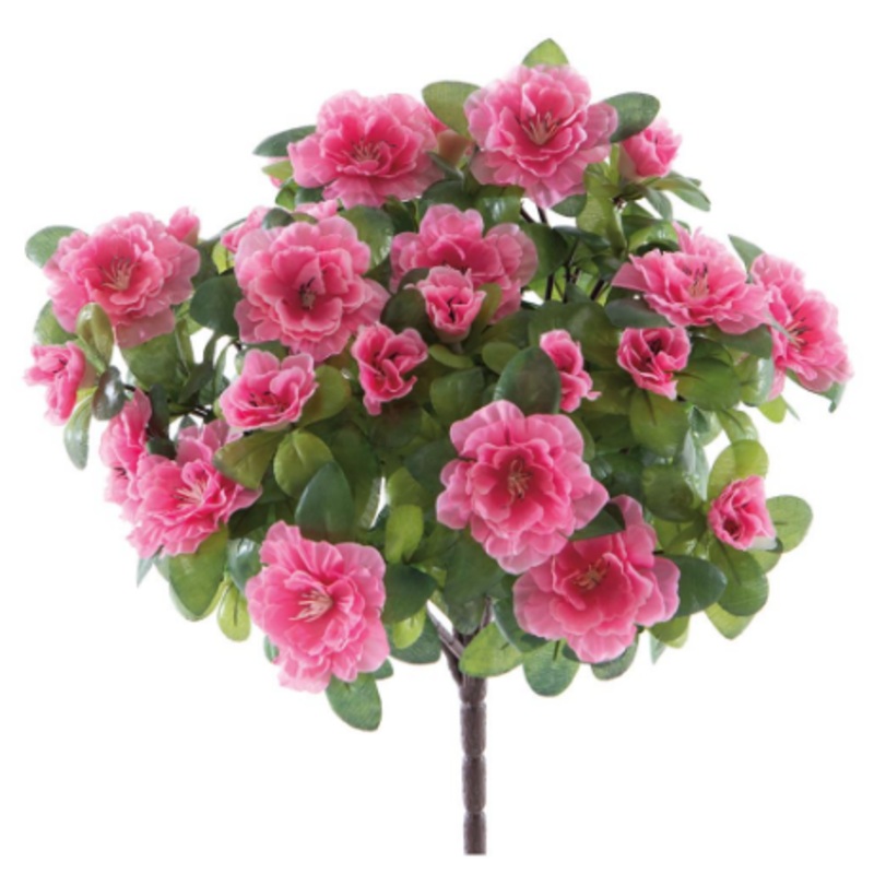 FBA121-PK (00161) – Azalea Bush X7 16 PK