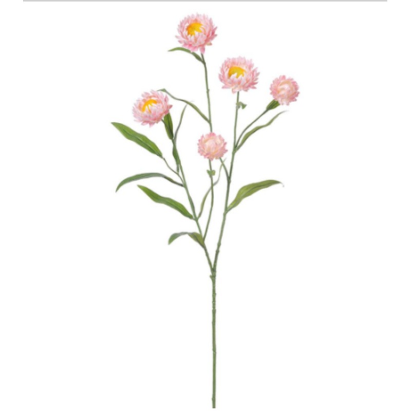 FSS255-PK/LT (00170) – Strawflower Spray Pink Light 27 Pk/Lt