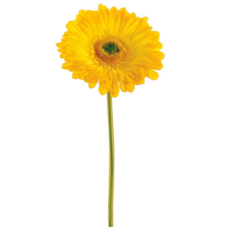 GTD445-YE (00172) – Gerbera Daisy Stem Large 9 Yellow