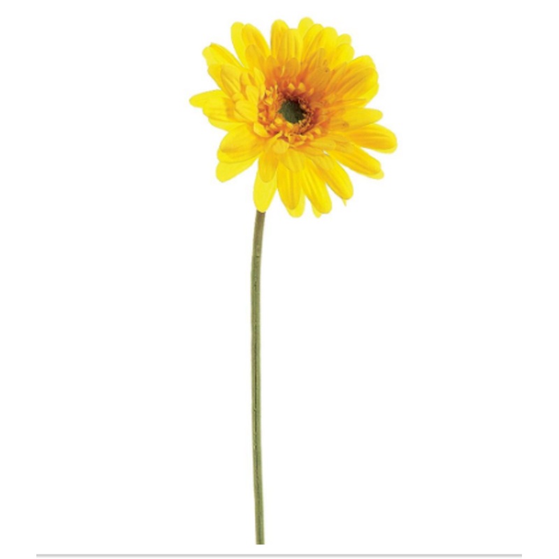 GTD572-YE (00173) – Gerbera Daisy Spray Medium 21.5 Yellow