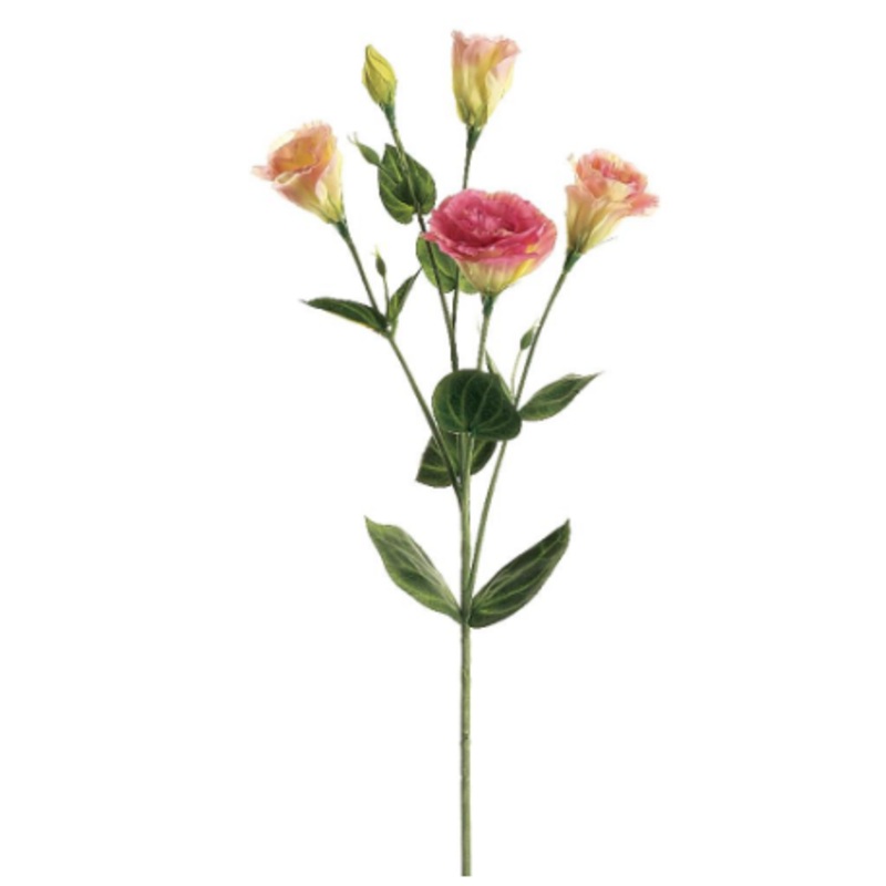 GTL505-PK/TT (00176) – Lisianthus Pink/Two Tone 30