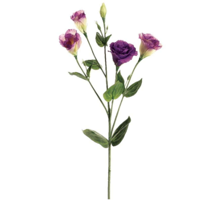 GTL505-PU/TT (00177) – Lisianthus Purple/Two Tone 30