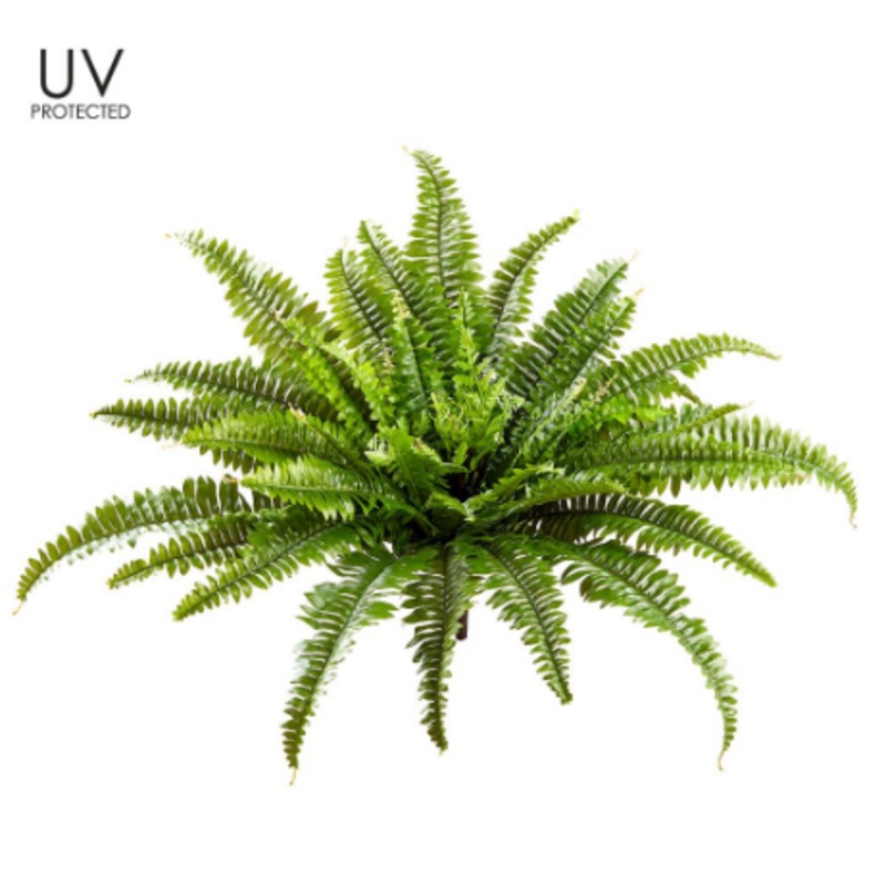 PBF434-GR (00156) – UV Pro Boston Fern Bush X49 23