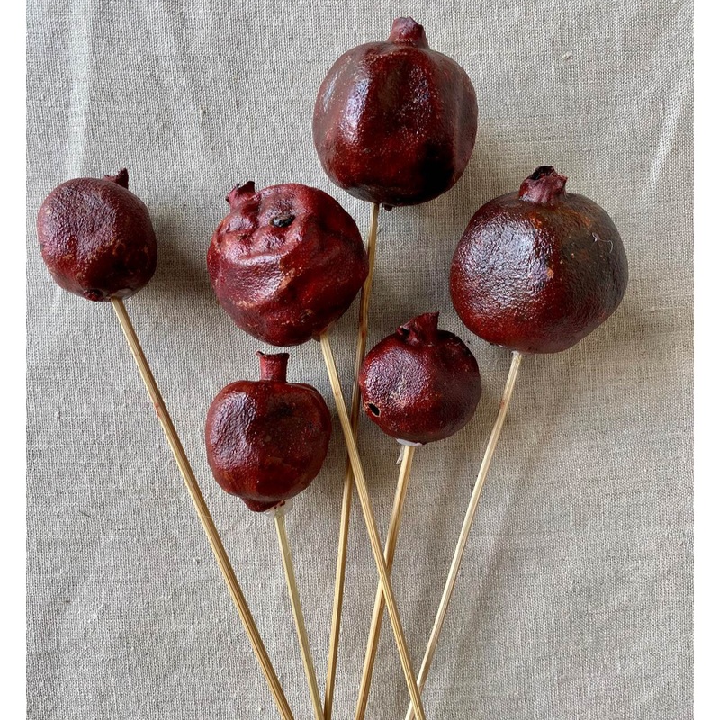 13202916 (11109) – Pomegranate On Stem Red 6pc/bag