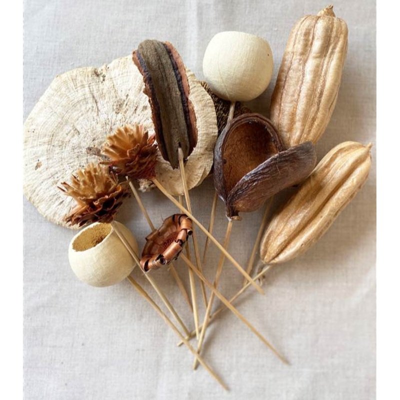 14206401 (11110) – Designer Pod Picks Nat 50Pcs/Cs